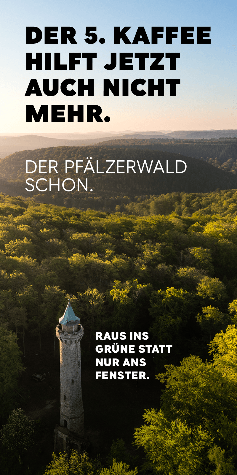 Der Pfälzerwald – raus ins Grüne statt nur ans Fenster.